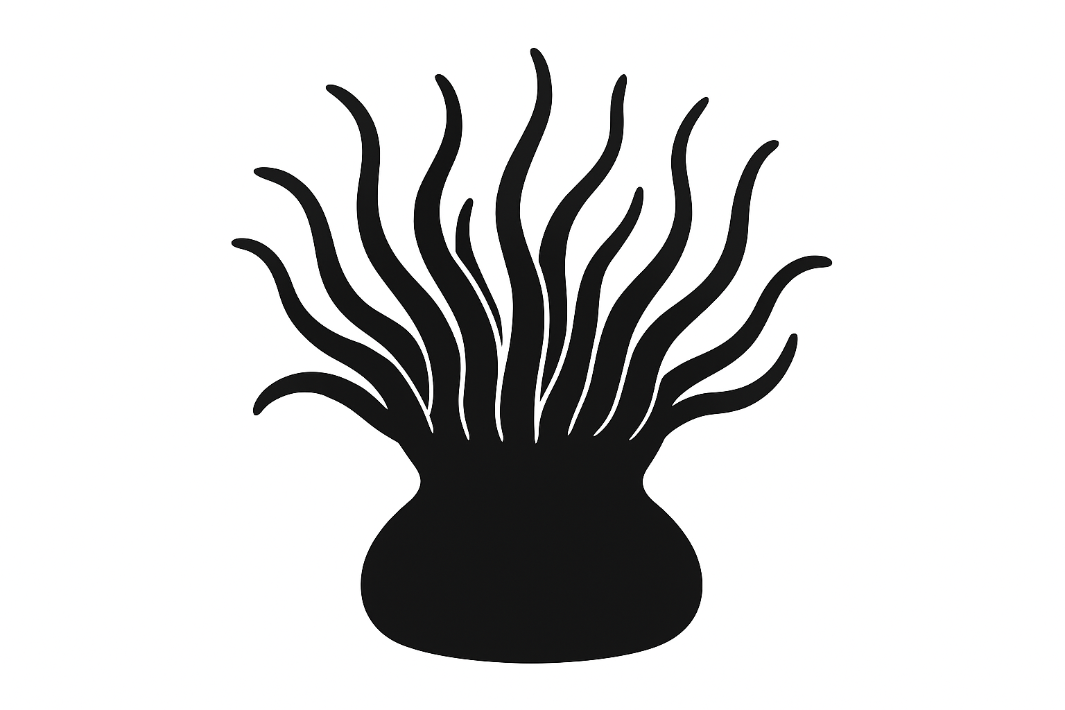 silhouette quiz