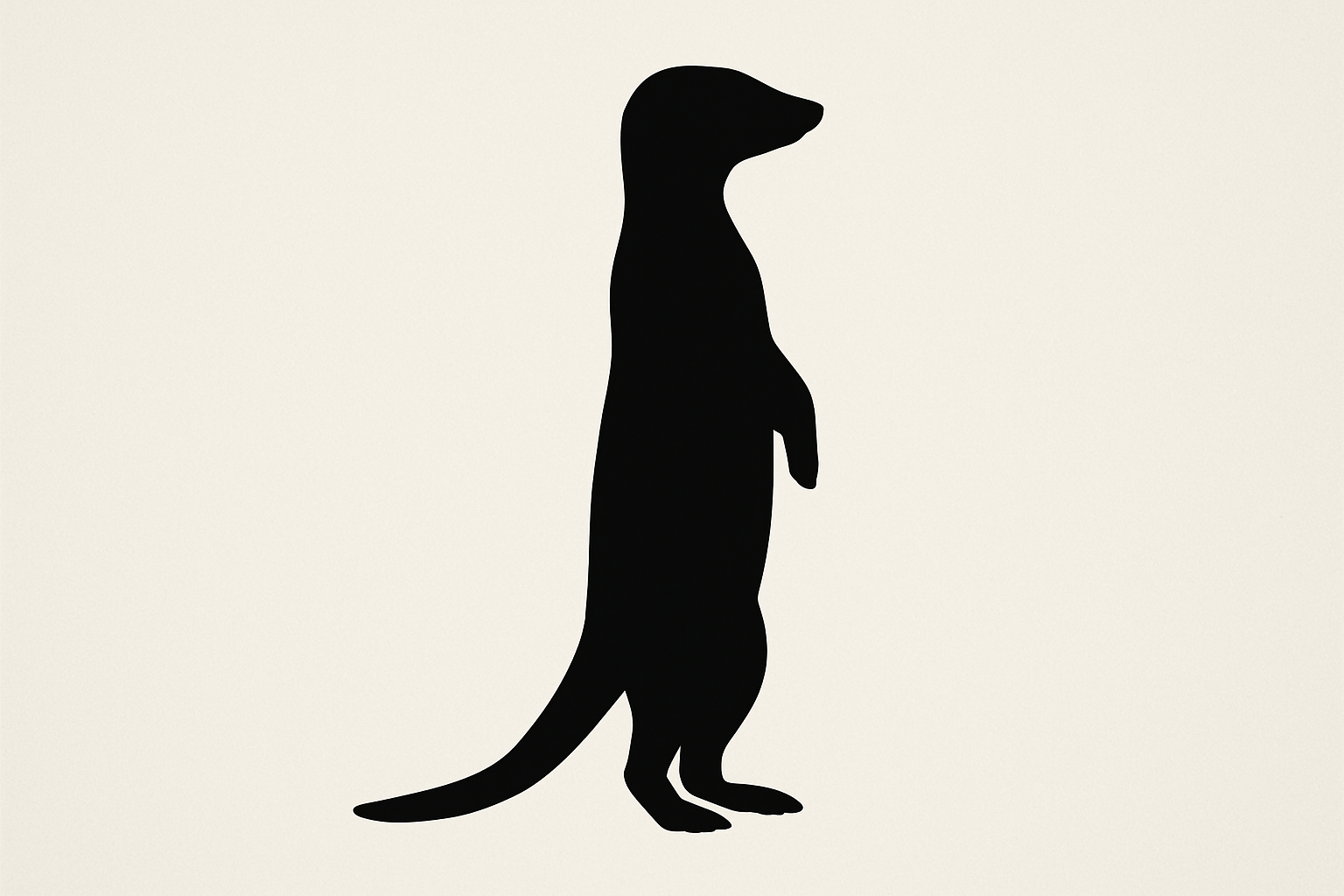 silhouette quiz