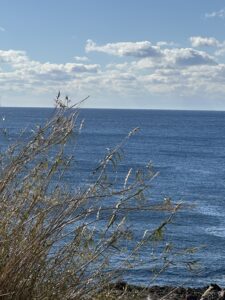 今日は海へ！！ - 画像1