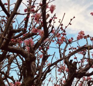 寒いけど！ - 画像2