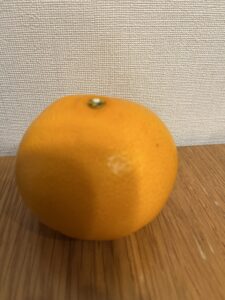 柑橘の女王‼️ - 画像1