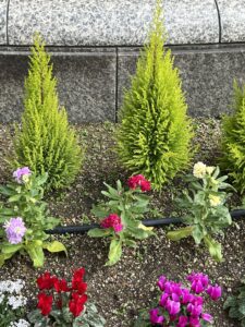 今日も‼️ - 画像1