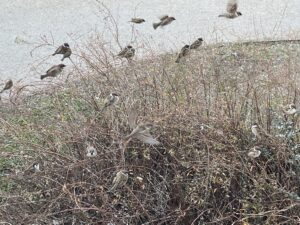 躍動感‼️ - 画像1