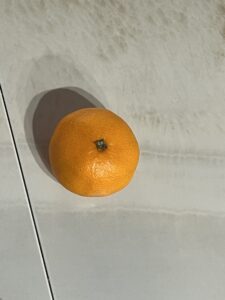 こんなとこにミカン？ - 画像1