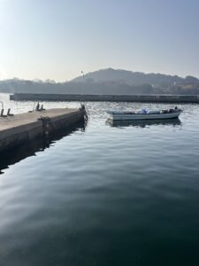 釣れる気がする‼️ - 画像1