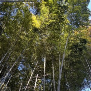 受診終わり。 - 画像1