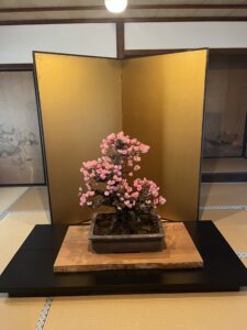 綺麗！！ - 画像1