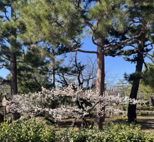 今日もいい日に！！ - 画像1