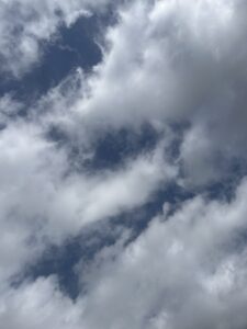 いい天気☀️ - 画像1