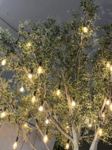 みかんの木に見えた。 - 画像1