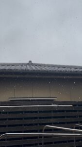 ついに降ってきました - 画像1