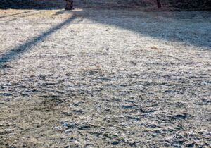 心動く風景 - 画像1