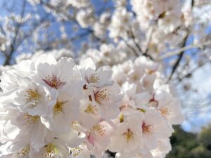 あの日は「今日」 - 画像1