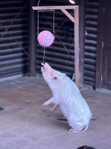 ３月だあー！ - 画像1