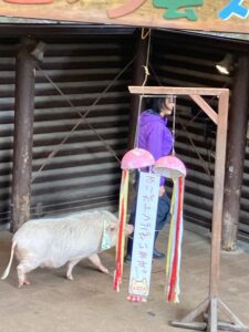 ３月だあー！ - 画像2