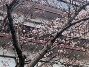 感謝とスタート - 画像1