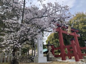 風に乗って届け！ - 画像1