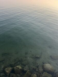 遂にカムバック‼️ - 画像1