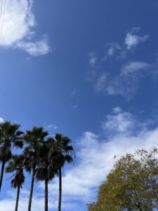 ちゅらさん☀️ - 画像1