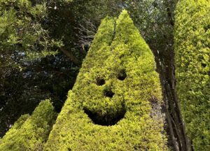 トトロ？！ - 画像1