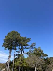 今日も頑張ろう！ - 画像1