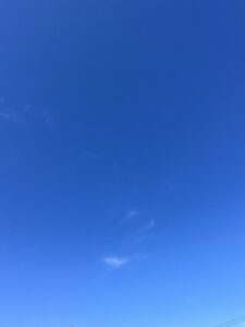 いい天気でした☀️ - 画像1