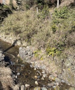 山深い！！ - 画像1