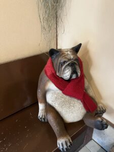 一目惚れ❤️ - 画像1