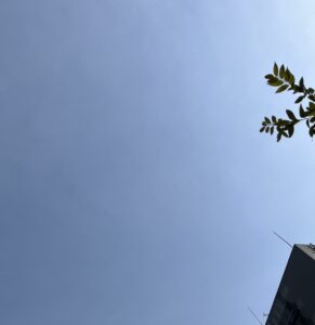 とても気持ちいい✨ - 画像1