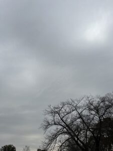 曇りですね。 - 画像1