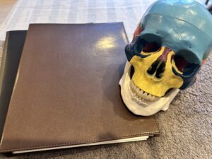 開けてびっくり頭蓋骨 - 画像1