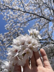 自分を大切に^-^ - 画像2