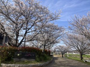 出逢いの春 - 画像1