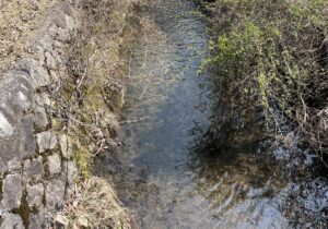 山の小川 - 画像1