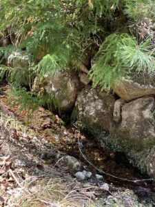 心が浄化される！ - 画像1