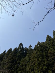 いい天気✨ - 画像1