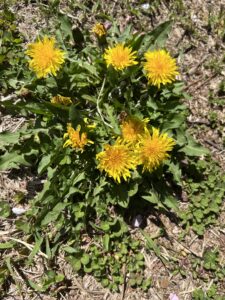 あったかい‼️ - 画像1