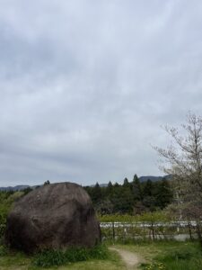 でか石。 - 画像1