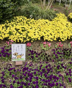 花壇と素敵な注意書き - 画像1