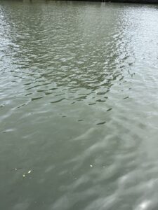 今日も元気に！！ - 画像1