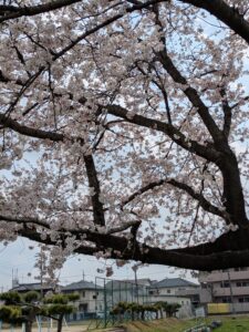 心動く風景 - 画像1