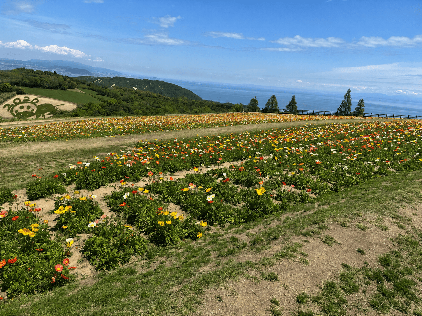 最高のご褒美淡路島 - 画像2