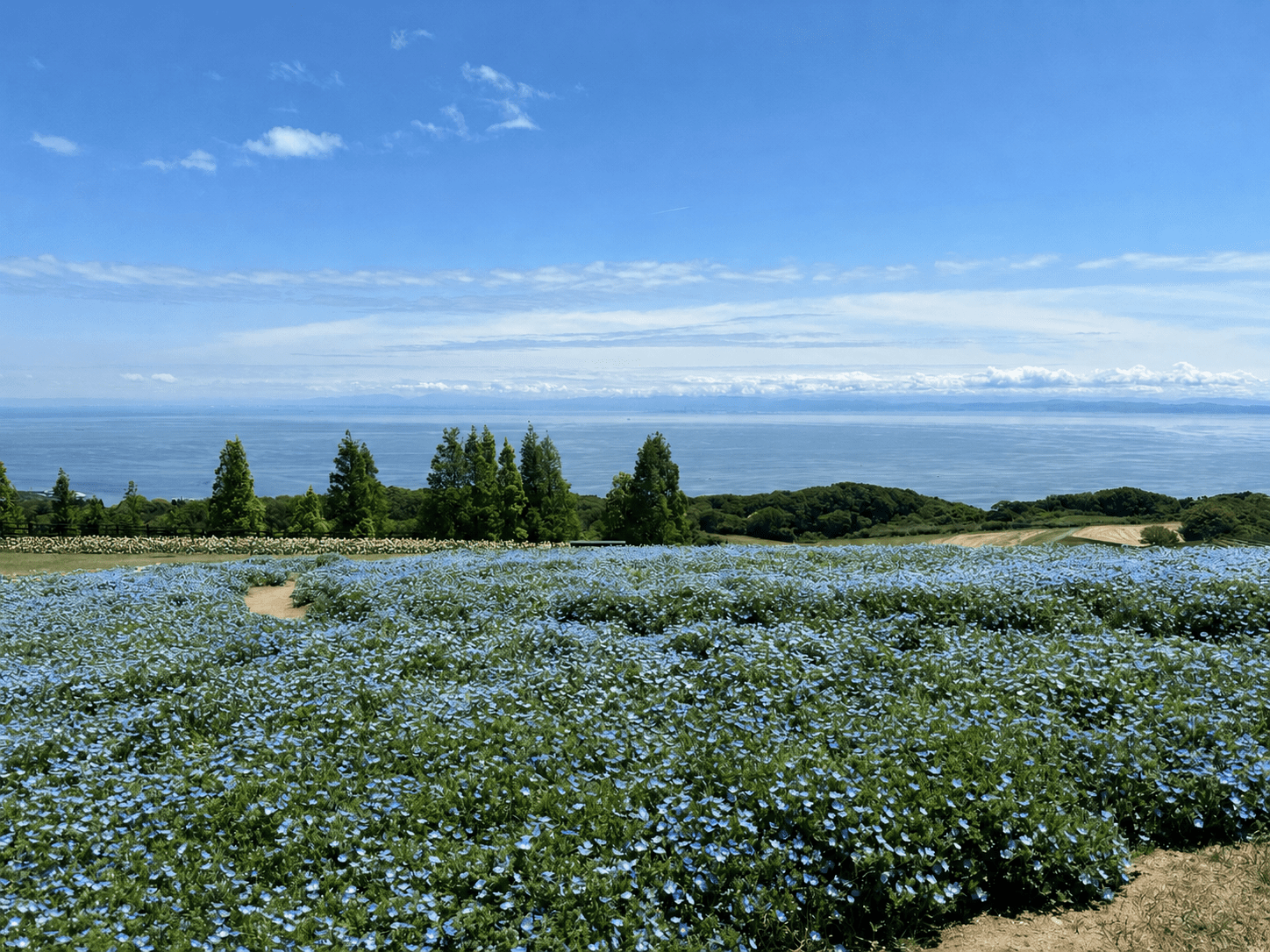 最高のご褒美淡路島 - 画像1