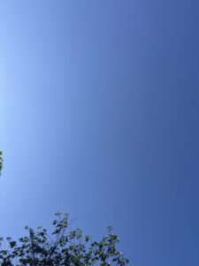 ちゅら晴れ☀️ - 画像1