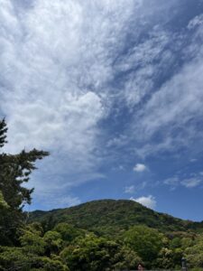 ピーカン晴れ☀️ - 画像1