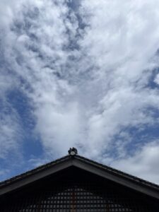 晴れ☀️ - 画像1
