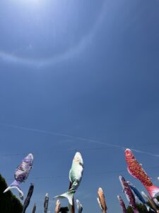 空に登る魚！ - 画像1