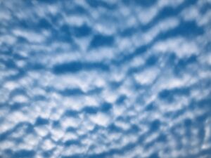 見上げれば空 - 画像2