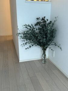 柔らかいユーカリ - 画像1