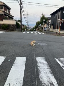 暑い！！ - 画像1